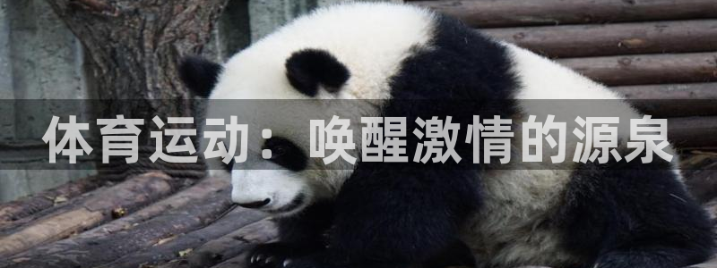 体育运动：唤醒激情的源泉