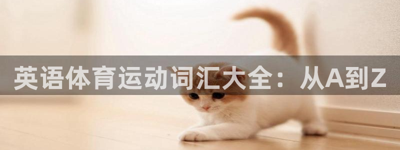 英语体育运动词汇大全：从A到Z