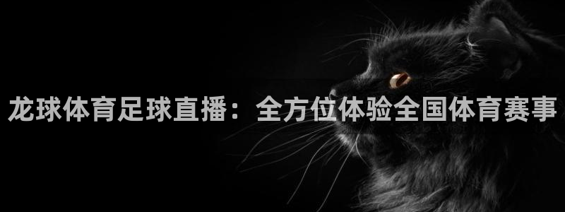 龙球体育足球直播：全方位体验全国体育赛事