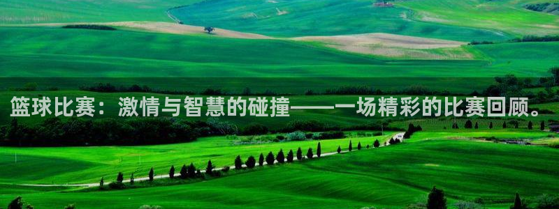 篮球比赛：激情与智慧的碰撞——一场精彩的比赛回顾。