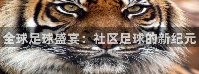 全球足球盛宴：社区足球的新纪元