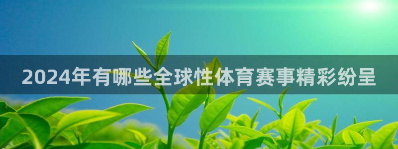 2024年有哪些全球性体育赛事精彩纷呈