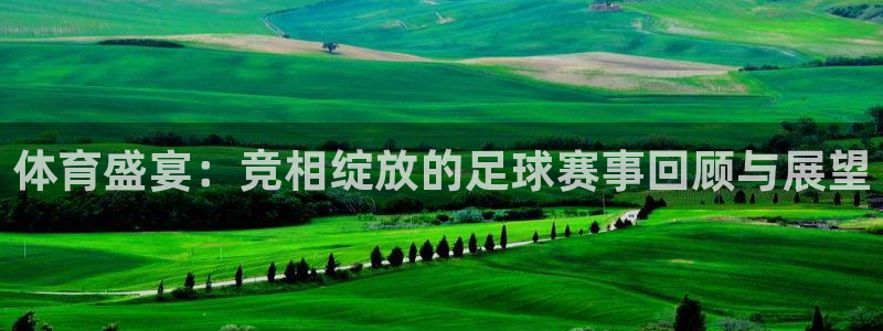 体育盛宴：竞相绽放的足球赛事回顾与展望