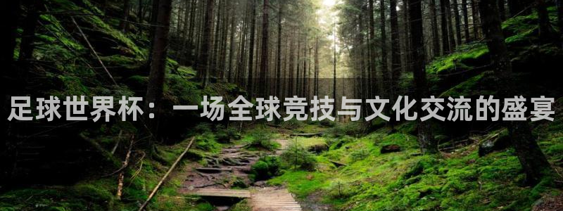 足球世界杯：一场全球竞技与文化交流的盛宴