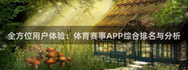 全方位用户体验：体育赛事APP综合排名与分析