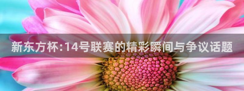 新东方杯:14号联赛的精彩瞬间与争议话题