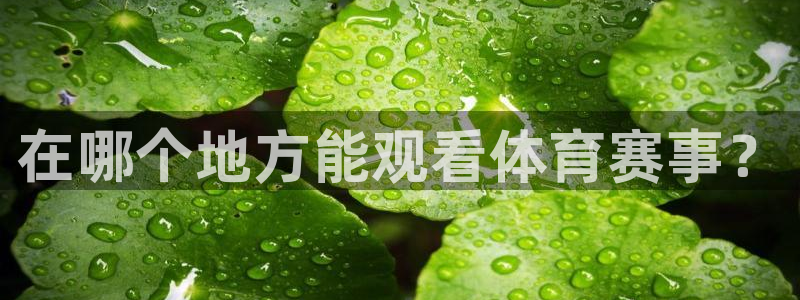 在哪个地方能观看体育赛事？