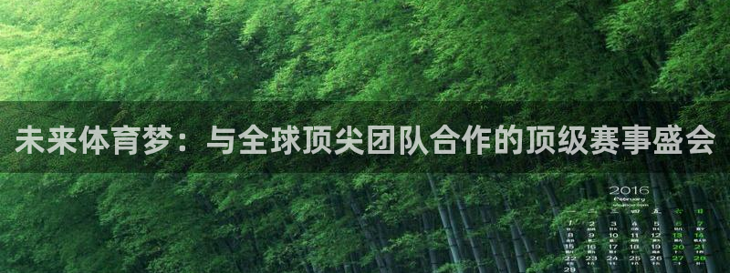 未来体育梦：与全球顶尖团队合作的顶级赛事盛会