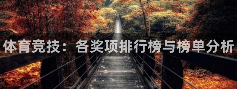 体育竞技：各奖项排行榜与榜单分析