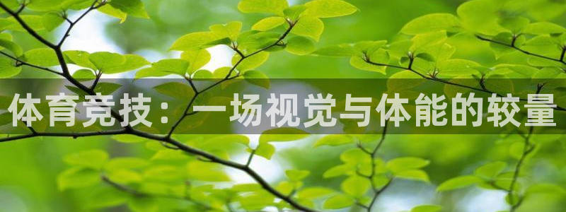 体育竞技：一场视觉与体能的较量