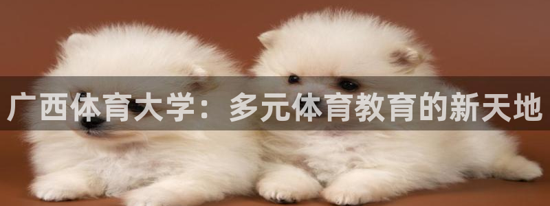 广西体育大学：多元体育教育的新天地