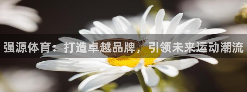 强源体育：打造卓越品牌，引领未来运动潮流