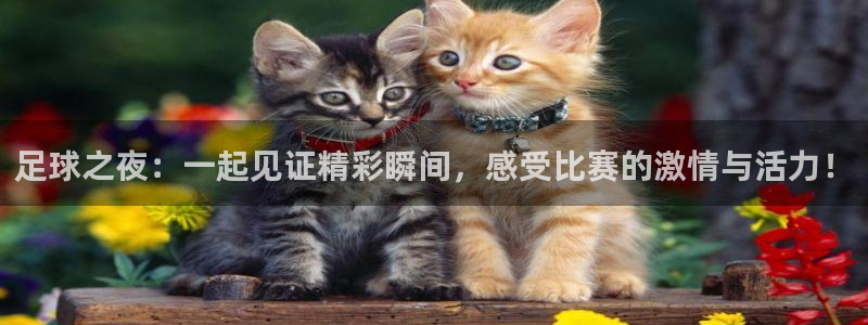 足球之夜：一起见证精彩瞬间，感受比赛的激情与活力！