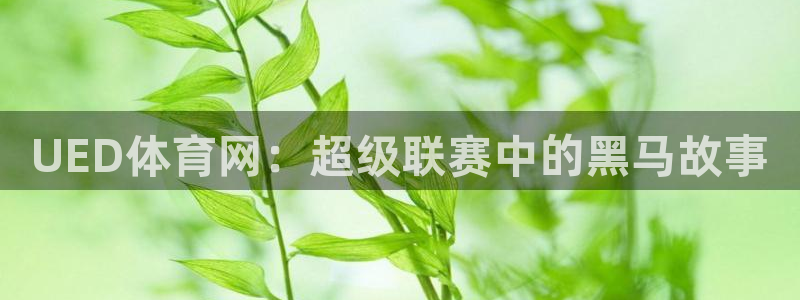 UED体育网：超级联赛中的黑马故事