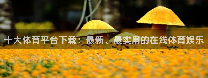 十大体育平台下载：最新、最实用的在线体育娱乐