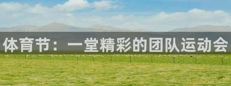 体育节：一堂精彩的团队运动会