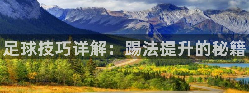 足球技巧详解：踢法提升的秘籍