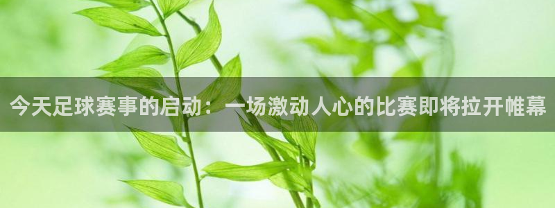 今天足球赛事的启动：一场激动人心的比赛即将拉开帷幕
