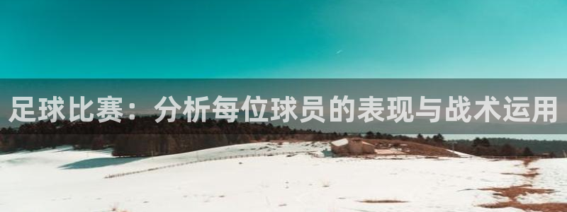 足球比赛：分析每位球员的表现与战术运用