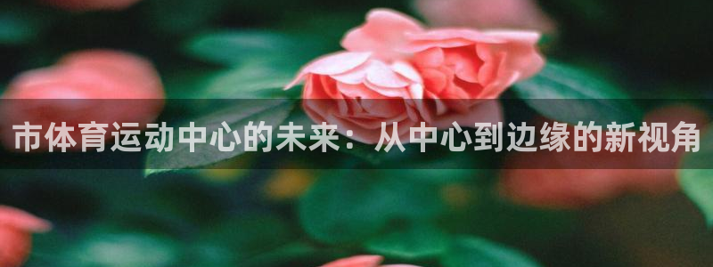 市体育运动中心的未来：从中心到边缘的新视角