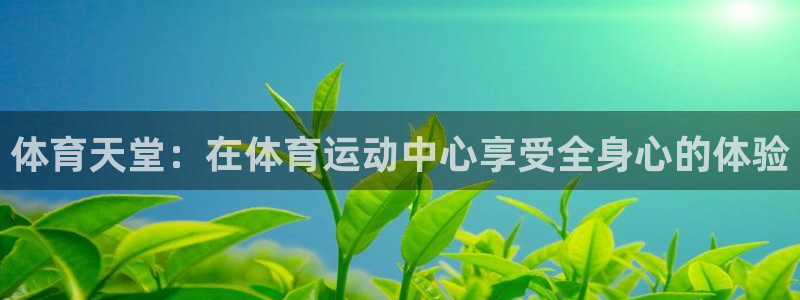 体育天堂：在体育运动中心享受全身心的体验