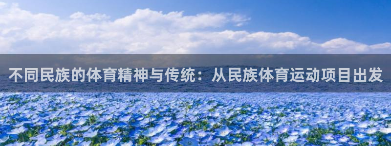 不同民族的体育精神与传统：从民族体育运动项目出发