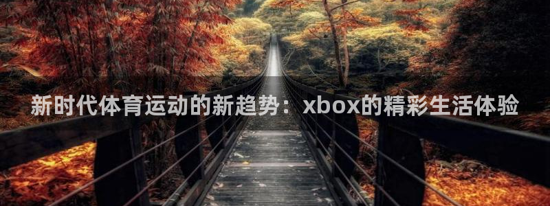 新时代体育运动的新趋势：xbox的精彩生活体验