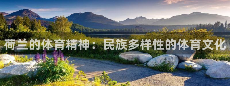 荷兰的体育精神：民族多样性的体育文化