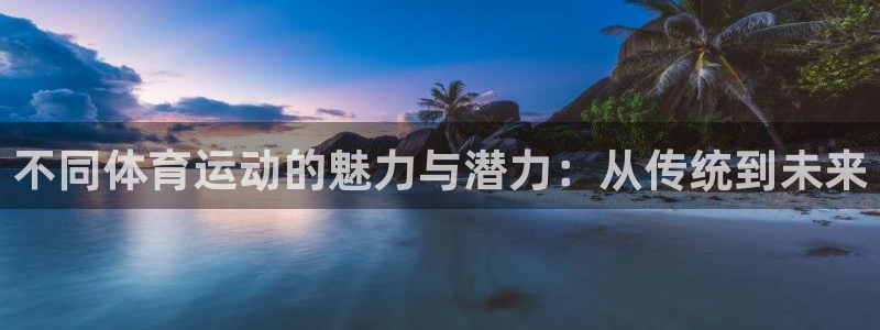 不同体育运动的魅力与潜力：从传统到未来