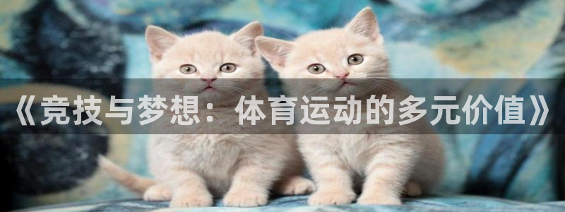 《竞技与梦想：体育运动的多元价值》
