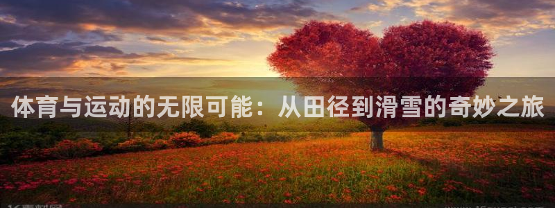 体育与运动的无限可能：从田径到滑雪的奇妙之旅