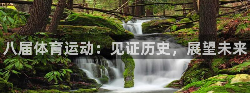 八届体育运动：见证历史，展望未来