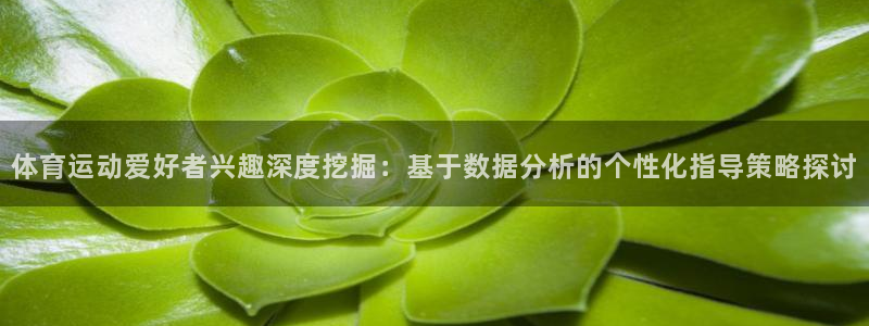 体育运动爱好者兴趣深度挖掘：基于数据分析的个性化指导策略探讨