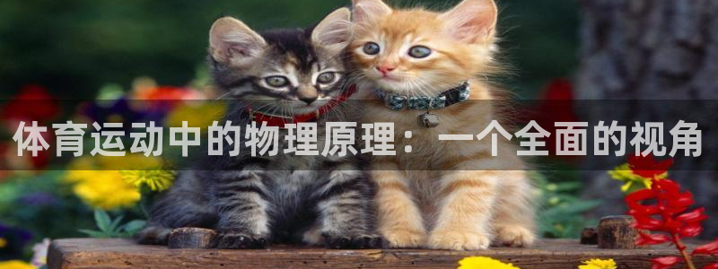 体育运动中的物理原理：一个全面的视角