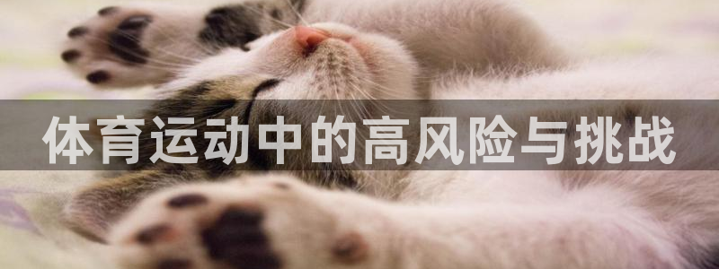 体育运动中的高风险与挑战