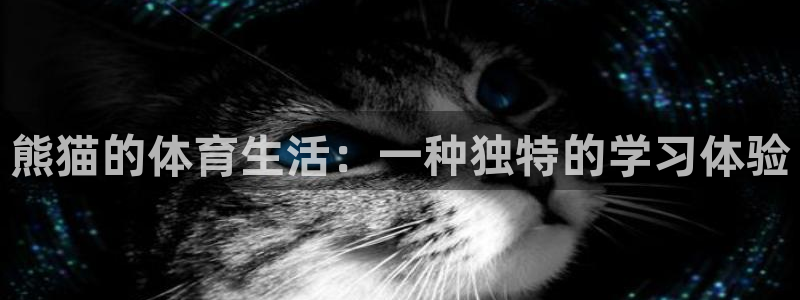 熊猫的体育生活：一种独特的学习体验