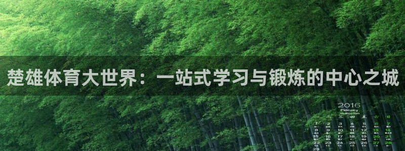 楚雄体育大世界：一站式学习与锻炼的中心之城