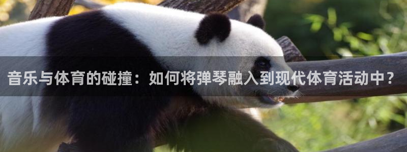 音乐与体育的碰撞：如何将弹琴融入到现代体育活动中？