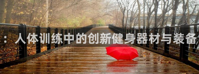 ：人体训练中的创新健身器材与装备