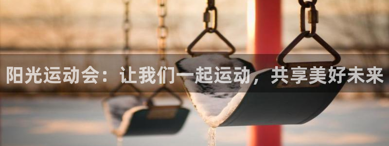 阳光运动会：让我们一起运动，共享美好未来