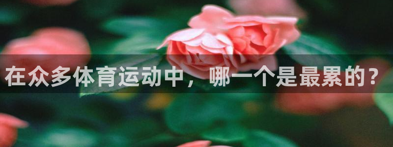 在众多体育运动中，哪一个是最累的？