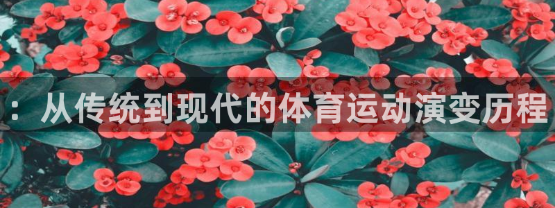 ：从传统到现代的体育运动演变历程