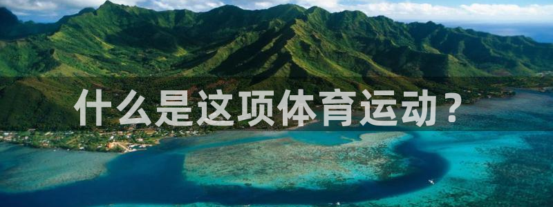 什么是这项体育运动？
