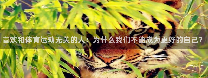 喜欢和体育运动无关的人：为什么我们不能成为更好的自己？