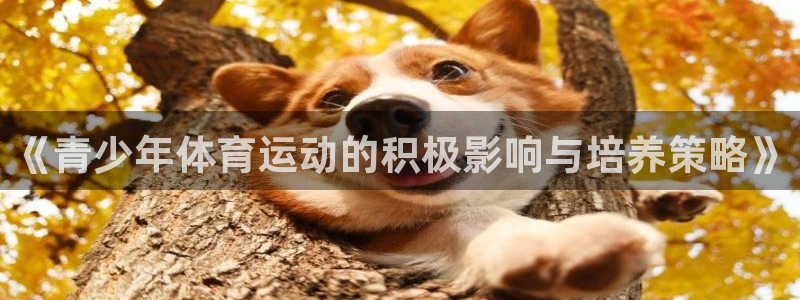 《青少年体育运动的积极影响与培养策略》