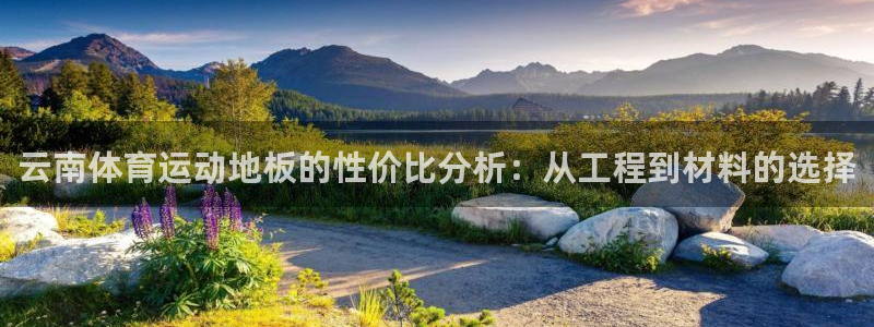 云南体育运动地板的性价比分析：从工程到材料的选择