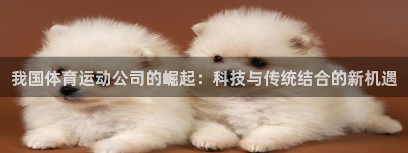 我国体育运动公司的崛起：科技与传统结合的新机遇