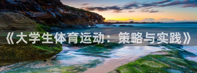 《大学生体育运动：策略与实践》