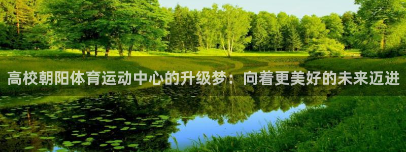 高校朝阳体育运动中心的升级梦：向着更美好的未来迈进