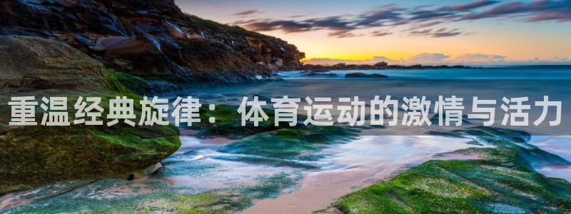 重温经典旋律：体育运动的激情与活力